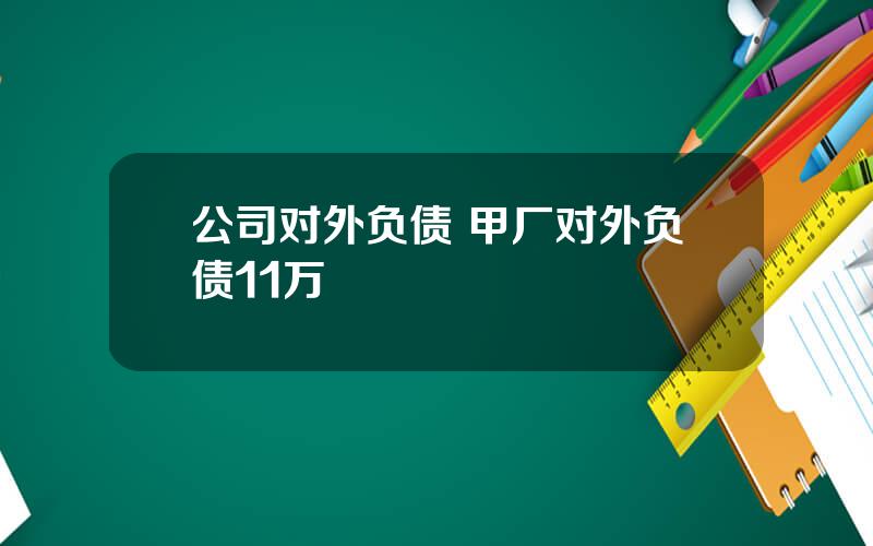 公司对外负债 甲厂对外负债11万